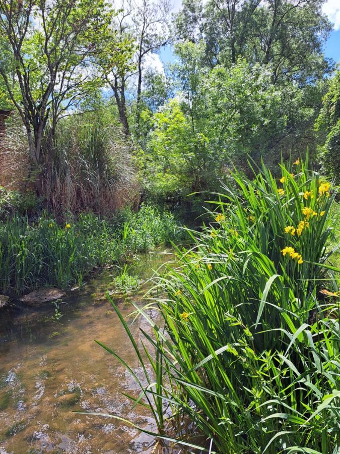 Le Moulin Etourneau - 3 Gites Avec 2 Piscines Champagnac  Екстер'єр фото